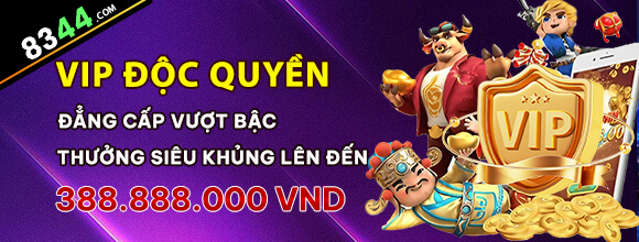 Hình ảnh quảng cáo của co88 hiển thị nền tảng và các lợi ích